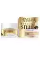Eveline Cosmetics Royal Snail 50+ Skoncentrowany Krem Silnie Liftingujący Na Dzień