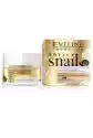Eveline Cosmetics Royal Snail 40+ Skoncentrowany Krem Intensywnie Przeciwzmarszczk