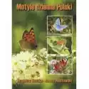  Motyle Dzienne Polski 