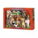 Castorland  Puzzle 3000 El. Dog Club Castorland