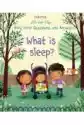 Lift-The-Flap Very First Questions And Answers What Is Sleep?