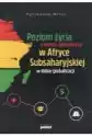 Poziom Życia A Wzrost Gospodarczy W Afryce Subsaharyjskiej W Dob