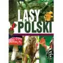  Lasy Polski 