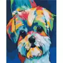 Symag Symag Obraz Paint It! Malowanie Po Numerach - Kolorowy Pies 