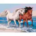 Symag Symag Obraz Paint It! Malowanie Po Numerach - Konie Na Wybrzeżu 