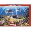 Castorland  Puzzle 500 El. Podwodne Delfiny Castorland