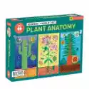  Puzzle Edukacyjne 3W1 Anatomia Roślin 6+ Mudpuppy