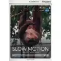  Cdeir A1+ Slow Motion: Taking Your Time 