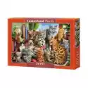 Castorland  Puzzle 2000 El. House Of Cats Castorland