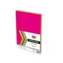 Beniamin Papier Ksero A4 Neon 100 Kartek