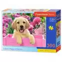 Castorland  Puzzle 300 El. Labrador Puppy In Pink Box Castorland