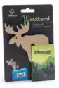 Zakładka Drewniana Do Książki Woodland Moose - Łoś