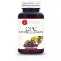 Yango Opc 95% Ekstrakt Z Pestek Winogron Suplement Diety 90 Kaps