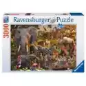  Puzzle 3000 El. Zwierzęta Afryki Ravensburger