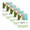 Moltex Moltex Zestaw Ekologiczne Pieluszki 5 Junior 11-25Kg 5 X 25 Szt.
