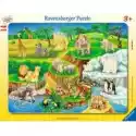 Ravensburger  Puzzle Ramkowe 14 El. Zoo Ravensburger