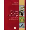 Dragon  Polska Księga Zwierząt. Gatunki Zagrożone 