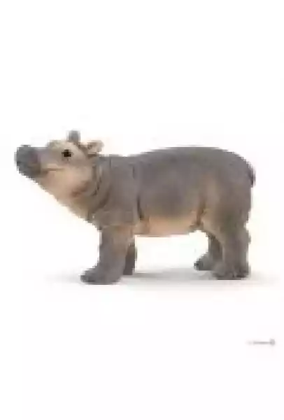 Hipopotam Dziecko