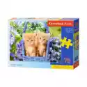  Puzzle 70 El. Ginger Kittens Castorland