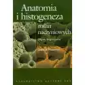  Anatomia I Histogeneza Roślin Naczyniowych. Organy Wegetatywne 