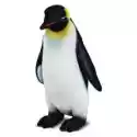  Pingwin Cesarski 