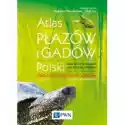  Atlas Płazów I Gadów Polski 
