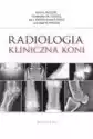 Radiologia Kliniczna Koni
