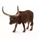  Krowa Ankole-Watusi 