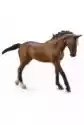 Koń Thoroughbred Marebay