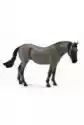 Koń Luistiano Mare Grey
