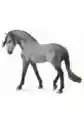 Collecta Koń Andalusian Stallion Dark Dapple Grey