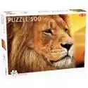  Puzzle 500 El. Animals. African Lion Tactic