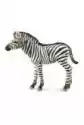 Collecta Zebra Foal