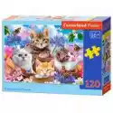 Castorland  Puzzle 120 El. Kittens With Flowers Castorland