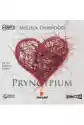 Pryncypium Audiobook