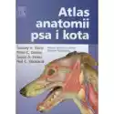  Atlas Anatomii Psa I Kota 