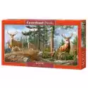 Castorland  Puzzle 4000 El. Royal Deer Family Castorland