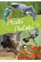 Ptaki Polski  Fenix