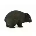  Wombat 