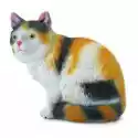 Kot Domowy Siedzący - Trzykolorowy 