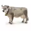  Krowa Tyrolska Szara 