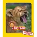  Lew Leon. Świat Dzikich Maluchów 