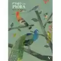  Ptaki I Ich Pióra 