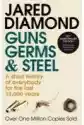Guns, Germs And Steel
