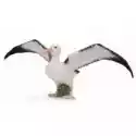 Collecta  Albatros Wędrowny 