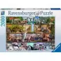 Ravensburger  Puzzle 2000 El. Świat Zwierząt Ravensburger