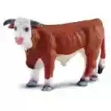 Collecta  Byk Hereford 