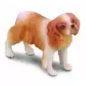 Collecta  Pies Spaniel Cavalier King Charles 