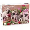  Puzzle 1000 El. Puppy Pugs Tactic