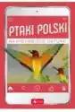 Ptaki Polski. Najpiękniejsze Gatunki